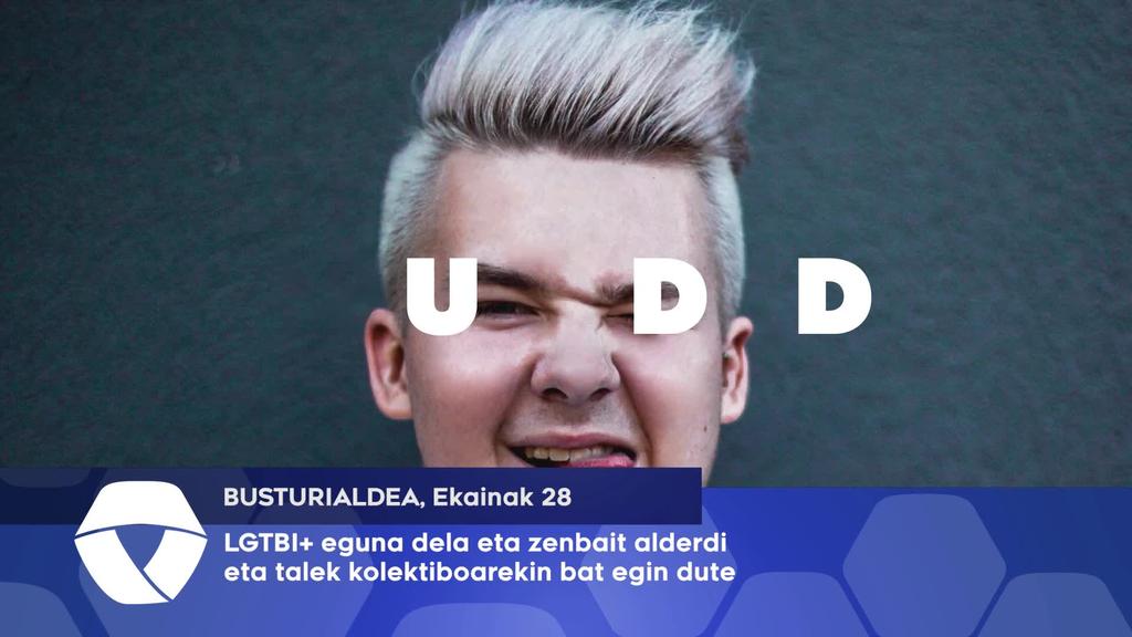 LGTBI+ eguna dela eta zenbait alderdik bat egin dute kolektiboarekin