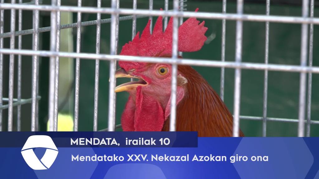 Mendatako XXV. Nekazal Azokan giro ona