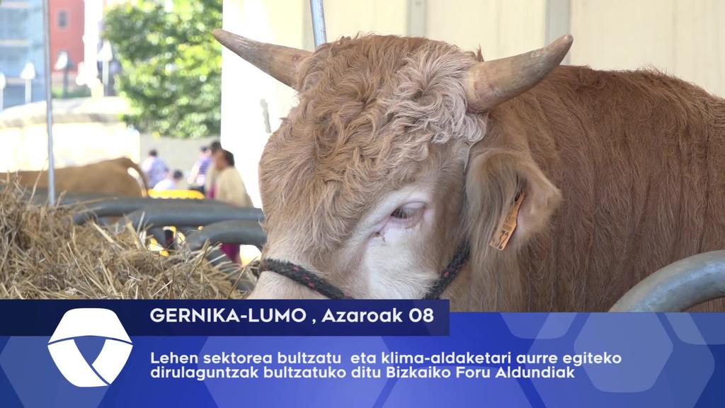 Lehen sektorera bideratutako diru laguntzak prest ditu Bizkaiko Foru Aldundiak