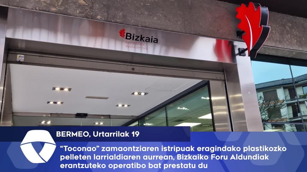 Toconao zamaontziaren istripuak eragindako plastikozko pelleten larrialdiaren aurrean, Bizkaiko Foru Aldundiak erantzuteko operatibo bat prestatu du