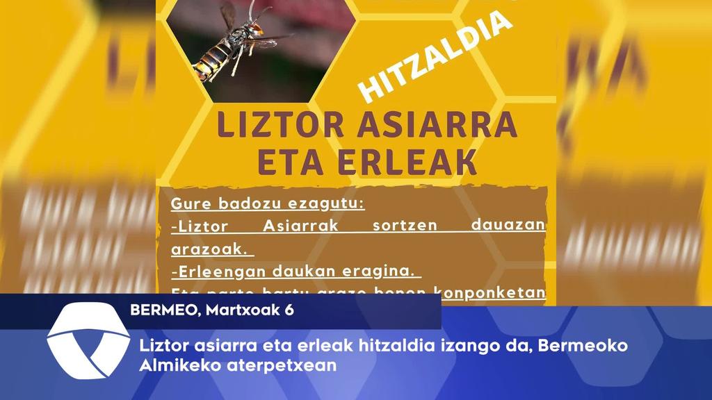Liztor asiarra eta erleak hitzaldia izango da, Bermeoko Almikeko Aterpetxean