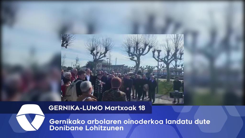 Gernikako Arbolaren kimua Donibane Lohitzunen landatu da
