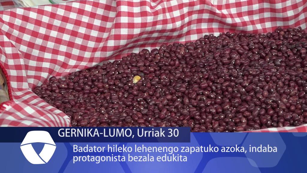 Badator Azaroko lehen zapatuko azoka, indaba protagonista izanda