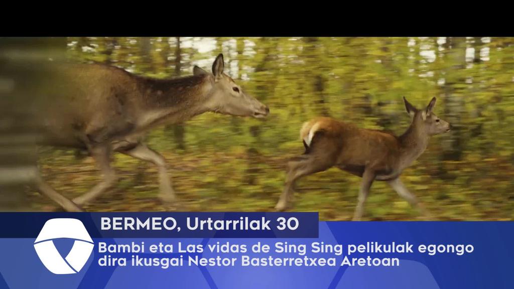 Bambi eta las vidas de Sing Sing pelikulak egongo dira ikusgai asteburuan