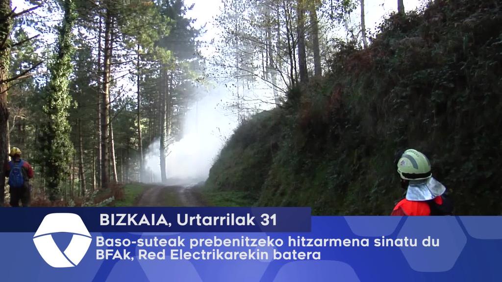 Baso-suteak prebenitzeko hitzarmena sinatu du BFAk, Red Electrikarekin batera