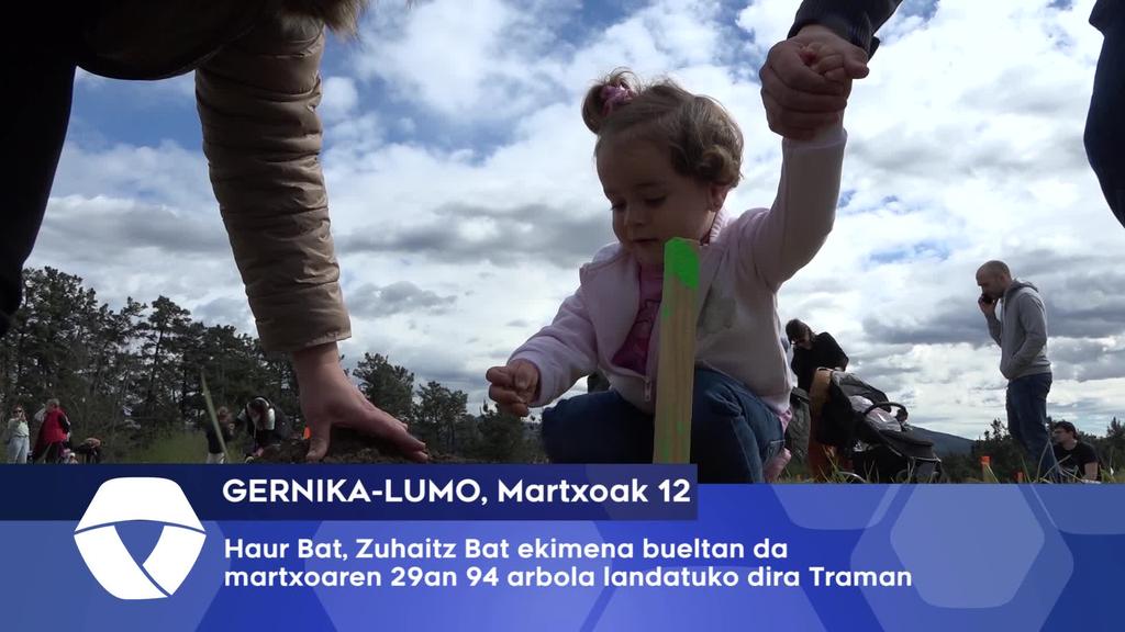 Bueltan da Haur Bat Zuhaitz Bat ekimena aurten 94 arbola landatuko dira Traman