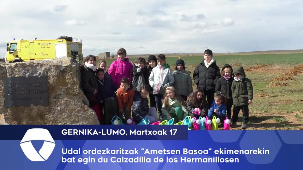 Ametsen Basoa ekimenarekin bat egin du Gernika-Lumoko Udalak Burgo de Raneron