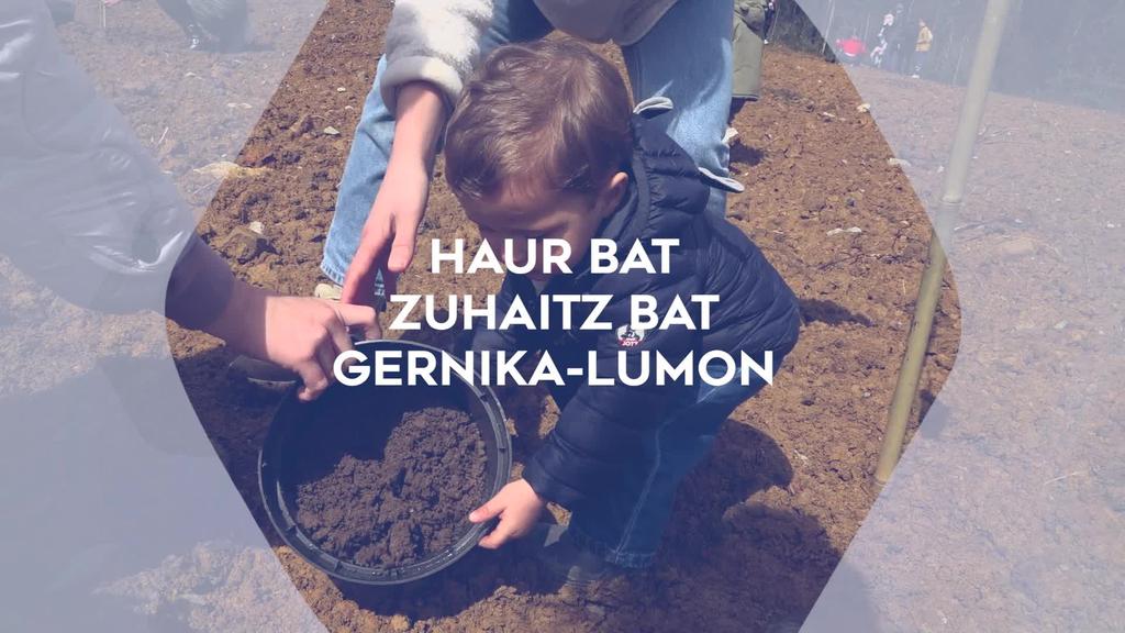 HAUR BAT ZUHAITZ BAT GERNIKA-LUMON 2025