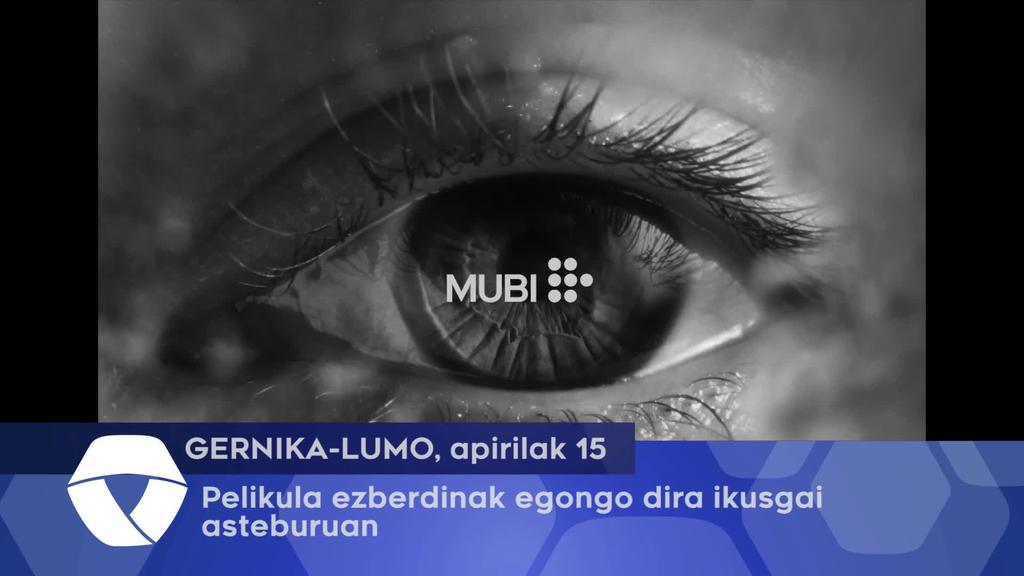 Pelikula ezberdinak egongo dira Lizeo Antzokian, asteburuan