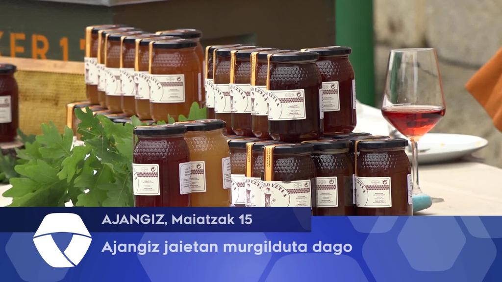 Ajangiz jaietan murgilduta dago