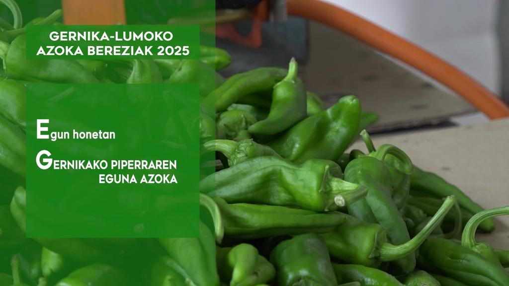 GERNIKA-LUMOKO AZOKA BEREZIA 2025- Gernikako Piperra