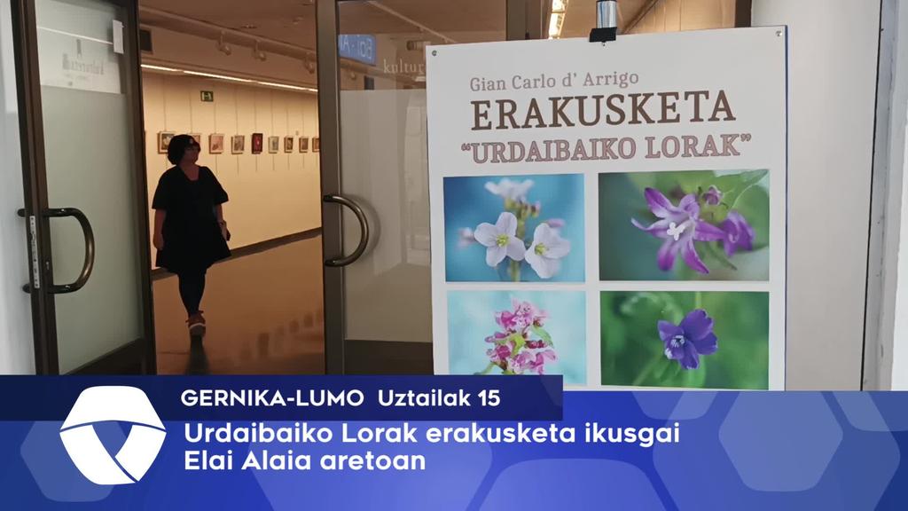 Urdaibaiko Lorak erakusketa ikusgai Elai-Alai aretoan