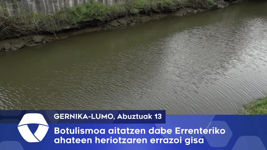 Botulismoa aitatzen dabe Errenteriko ahateen heriotzaren errazoi gisa