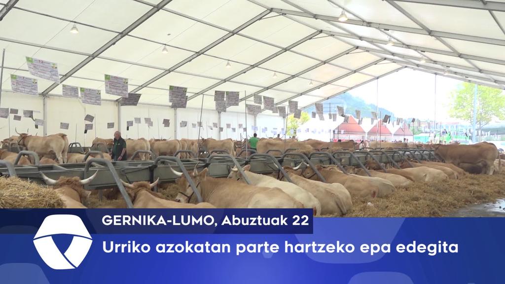Urriko azokatan parte hartzeko epea edegi da