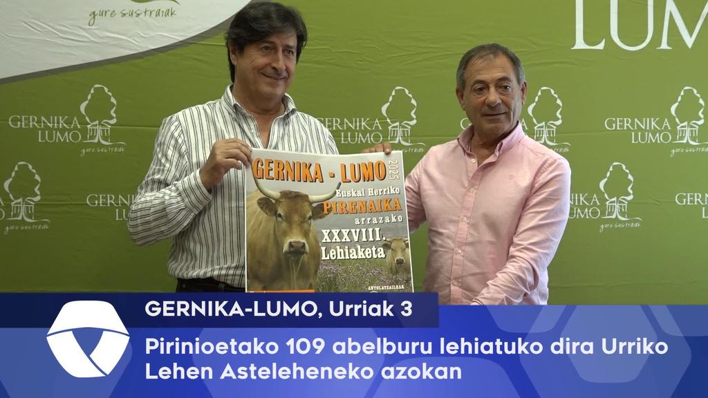 Pirinioetako 109 abelburu lehiatuko dira Gernika-Lumoko Urriko Lehen Asteleheneko azokan