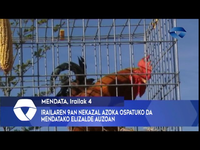Nekazal azoka ospatuko da irailaren 9an Mendatan