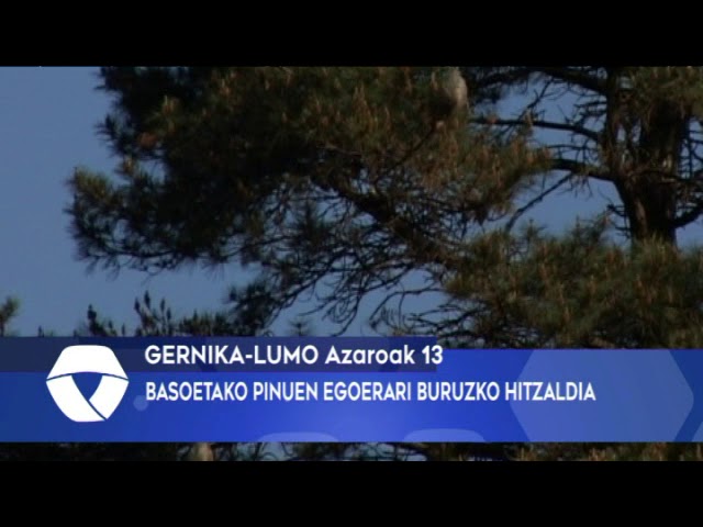 Basoetako pinuen egoerari buruzko hitzaldia izango da