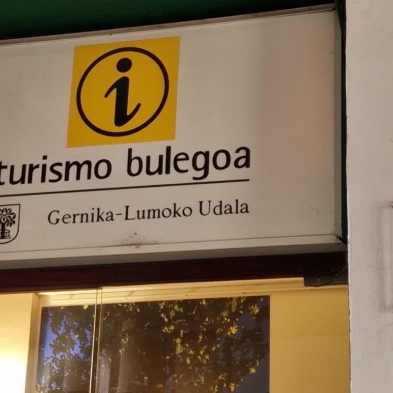 Gernika-Lumoko udal futbol zelaia barritzeko lanak hasi dira.